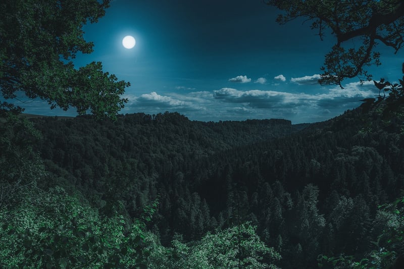 Moon Landing